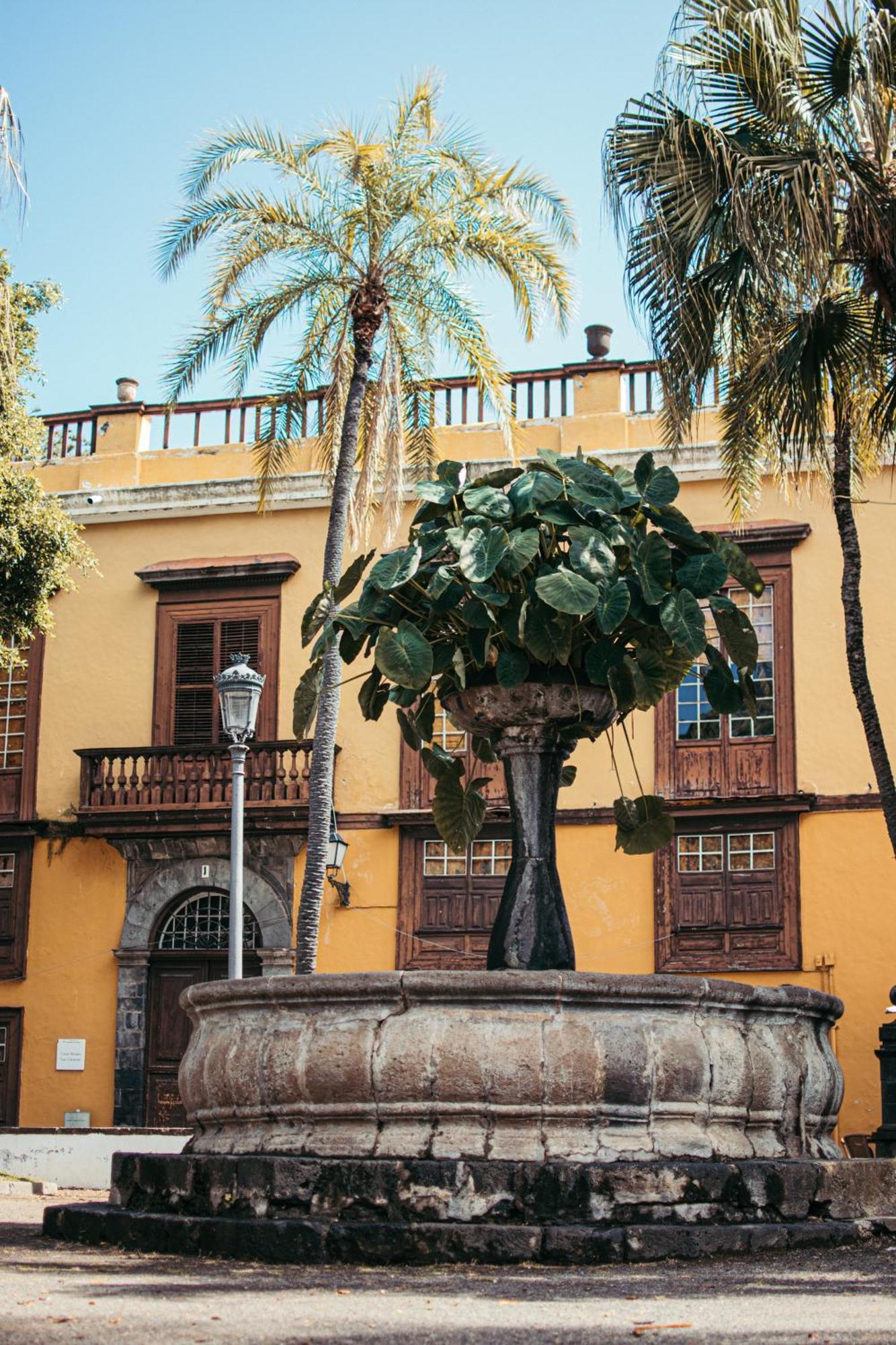 Las Casitas Del Bebedero - Yoga & Ecoturismo Icod De Los Vinos Ngoại thất bức ảnh